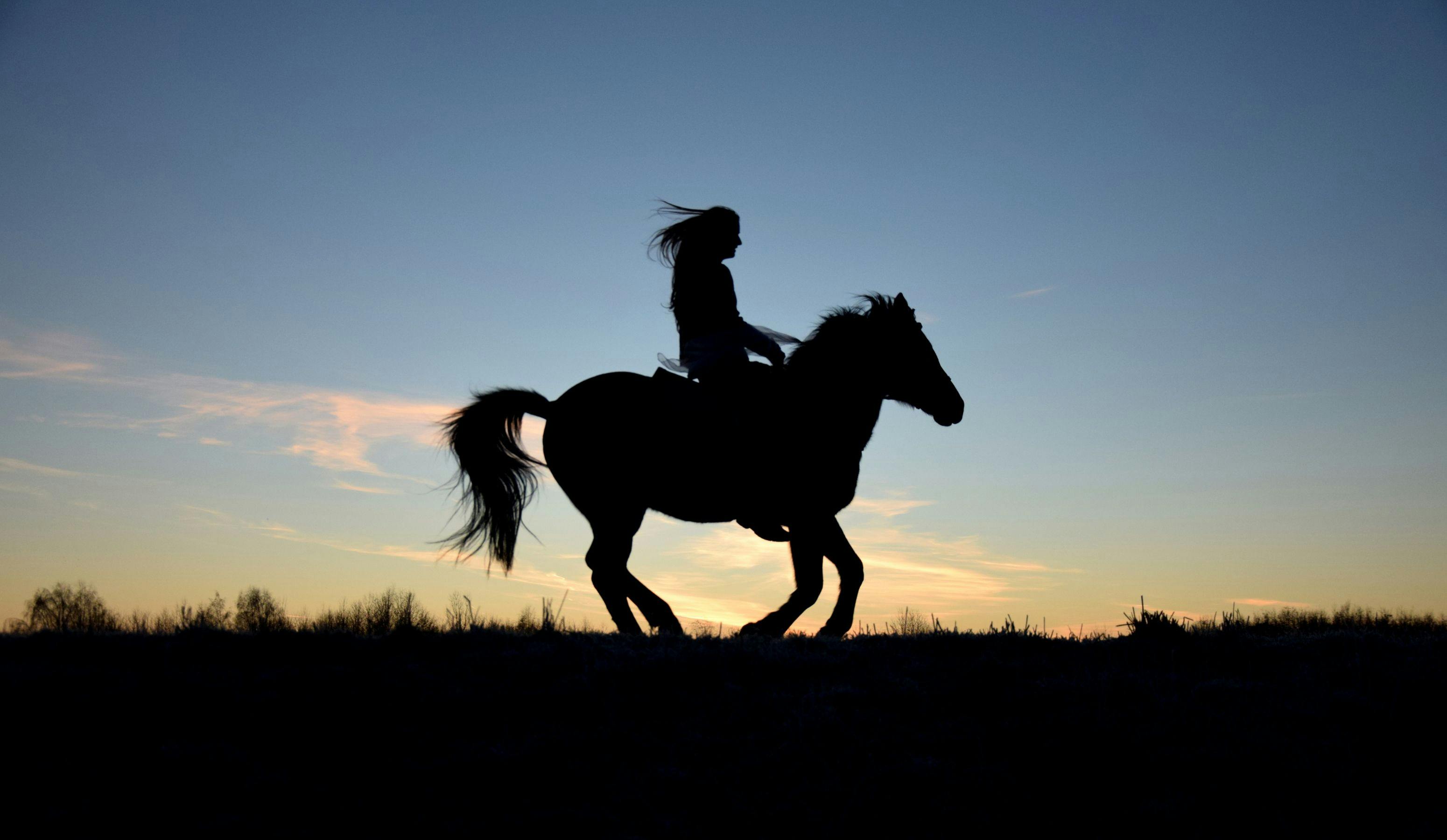 Unleash Your Inner Adventurer: Horse Riding in Iceland